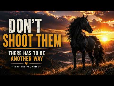 Don't Shoot The Brumbies | There Has To Be Another Way