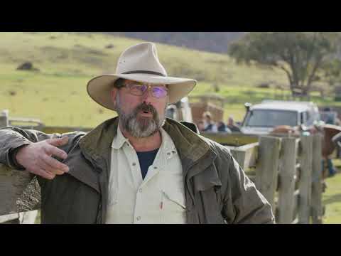 Interview with Bill Tilley - Save the Brumbies Documentary (Sonia Buckley)