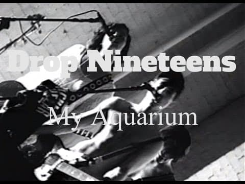 Drop Nineteens ⧸⧸ My Aquarium — Drop Nineteens ⧸⧸ My Aquarium