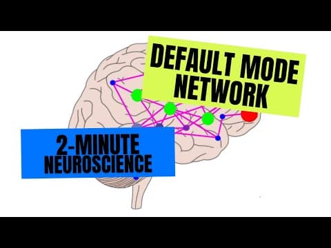 2-Minute Neuroscience: Default Mode Network