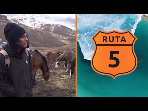 Los caballos salvajes de la cordillera | Ruta 5