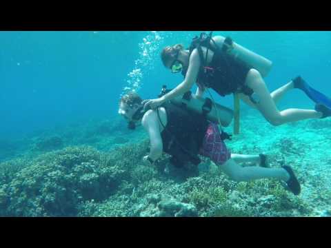 Handicapped Diving on the Solomon Islands at Gizo