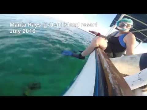 Manta Rays at Uepi island resort