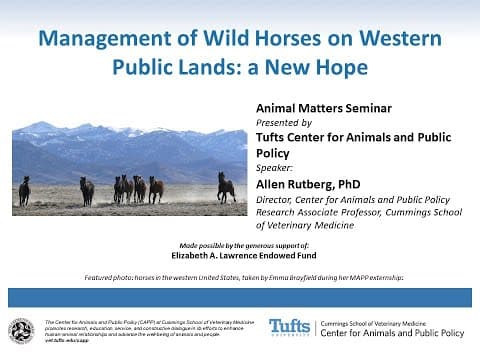 Management of Wild Horses on Western Public Lands: a New Hope