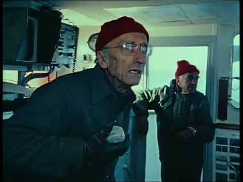 E28 Antarctic Part IV - Blizzard at Hope Bay - The Undersea World Of Jacques Cousteau - 22.3.1974
