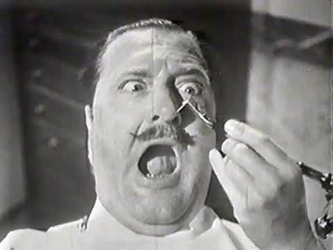 Edgerton and His Incredible Seeing Machines (1985 documentary)