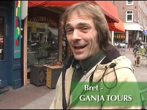 Adventures in cannabis hemp: the Dutch coffeeshop experience