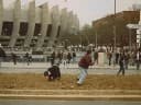 Three decades on the Arsenal terraces