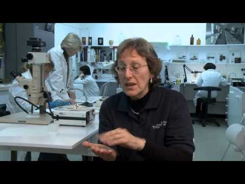 Conserving the Dead Sea Scrolls - Israel Antiquities Authority
