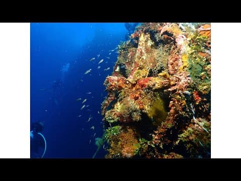 Solomon Islands Diving, Gizo - Toa Maru WWII wreck and Grand Central Station
