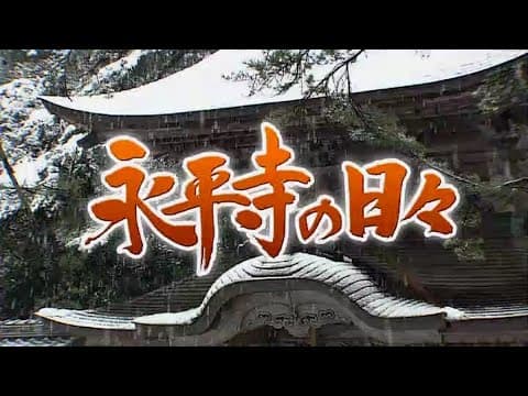 A Year Among the Unsui: Daily Life at Eiheiji