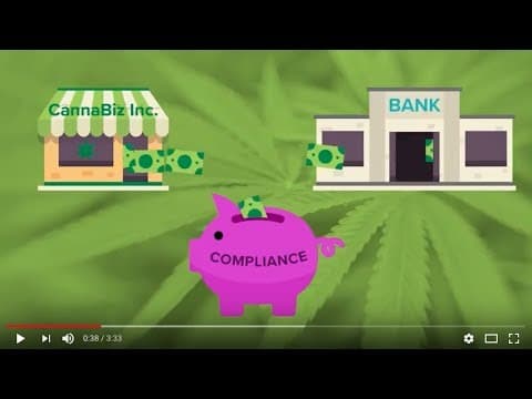 The cannabis industry's banking crisis explained