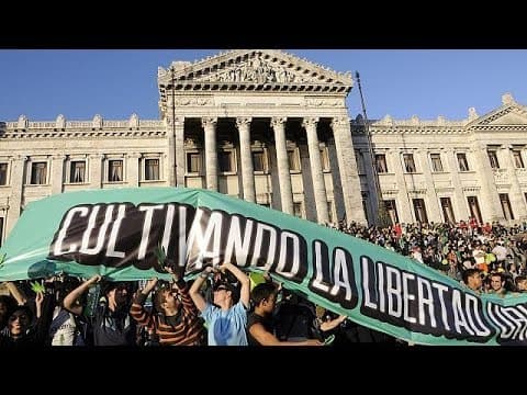 Uruguay Makes History by Legalising the Entire Marijuana Market