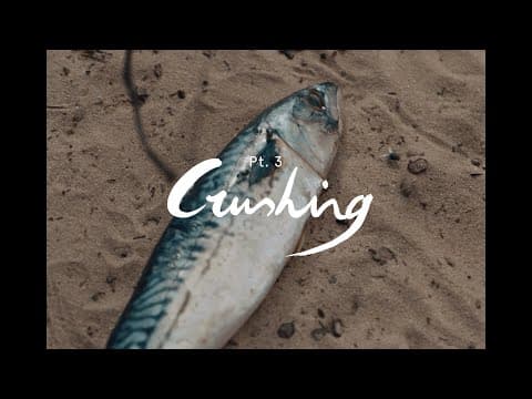 Intergalactic Lovers - Crushing (Official Video)