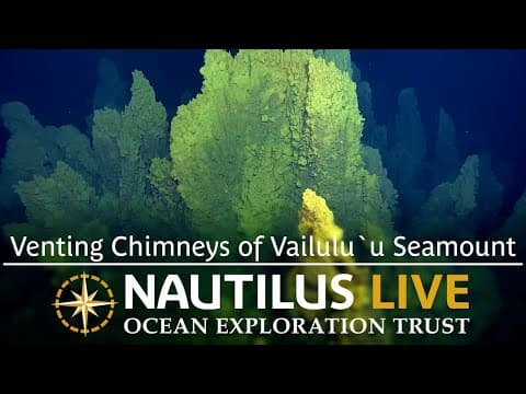 Venting Chimneys of Vailuluʻu Seamount | Nautilus Live