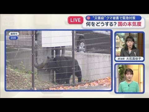 The first cabinet-level meeting on bear attacks