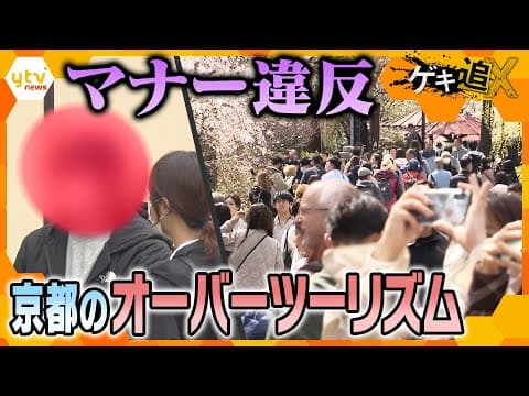 Kyoto in cherry blossom season: the state of overtourism