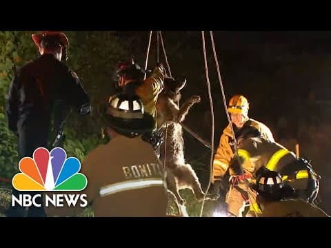 Watch: San Diego firefighters rescue dog from 30-foot hole