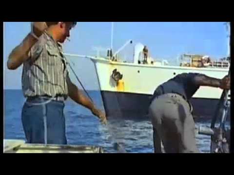 Antique Diving Helmet: Greek sponge divers and Cousteau's Aqua Lung