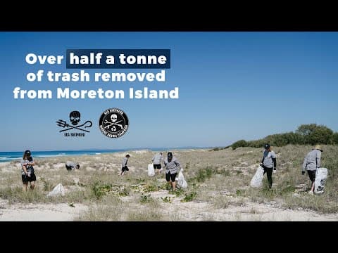 Over half a tonne of trash removed from Moreton Island