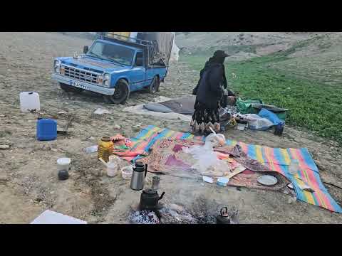 کوچ قشقایی؛ سفر به ییلاق | Qashqai Migration: Journey to the Highlands