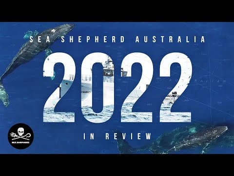 Sea Shepherd Australia: 2022 in Review