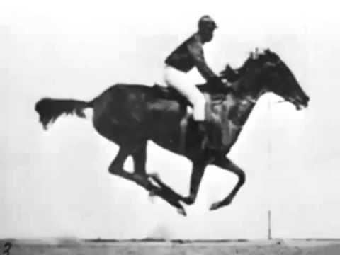 The Horse in Motion (Eadweard Muybridge) 1878
