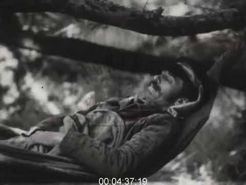 Real footage of David Livingstone showing how he discovered the Victoria falls 📽️