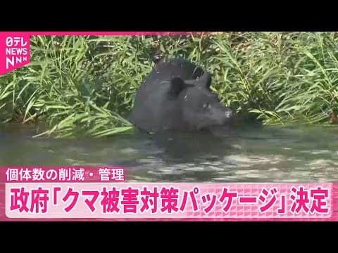The government adopts a bear countermeasures package
