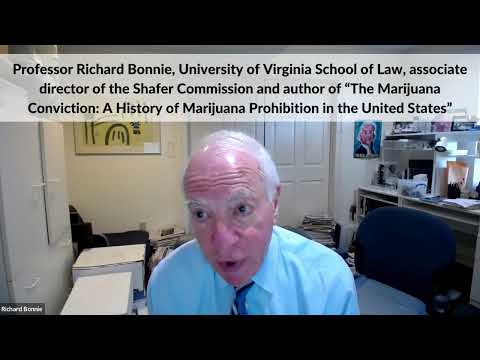 Shafer Commission associate director Richard Bonnie on decriminalisation