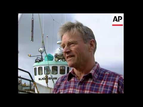 Iceland set to resume limited whaling despite criticism
