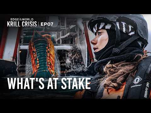 Is Antarctica’s Dark History Repeating? | Edge of the World: Krill Crisis | EP7
