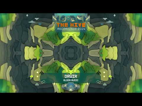 DRUIR plays The Hive