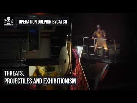Sea Shepherd Crew Subjected to Fishermen's Threats, Projectiles and Exhibitionism