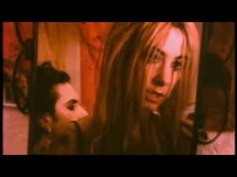Daisy Chainsaw — Love Your Money