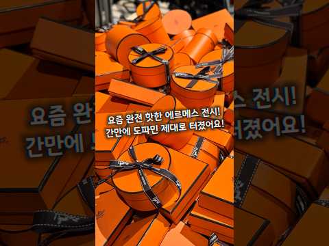 에르메스 탐정이 되어 30마리 말을 찾아라! 무료 체험형 전시 MYSTERY AT THE GROOMS
