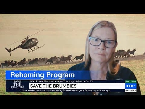Aerial Brumby Killings: Is It The Only Option?