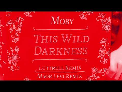 Moby - This Wild Darkness (Maor Levi Remix) (Official Audio)