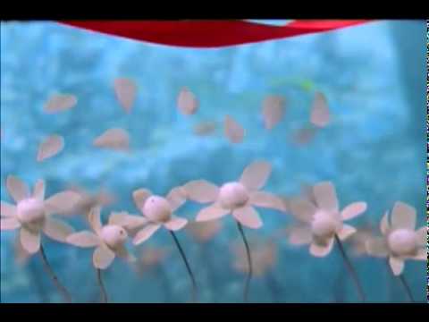 A Ribbon - Devendra Banhart