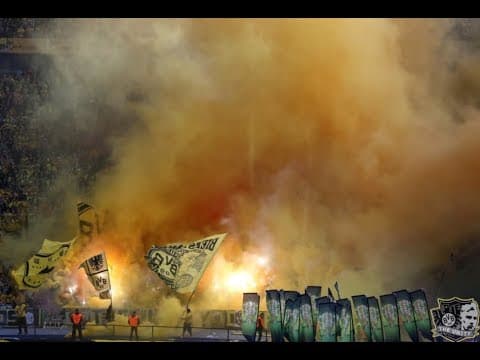 Ultras Dortmund terrace moments compilation