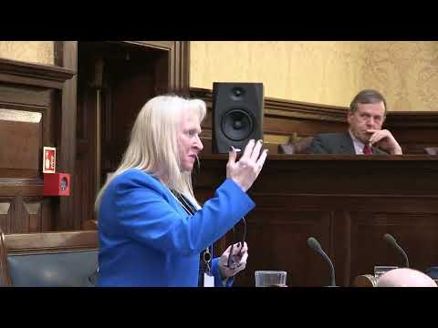 Tynwald 18/03/2025 part 2