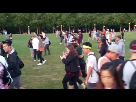 Squirtle sends a Bellevue park crowd running