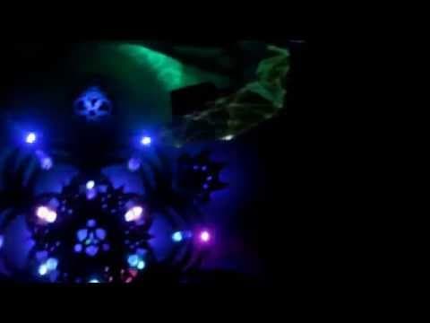 Insane Creatures performing among the crowd