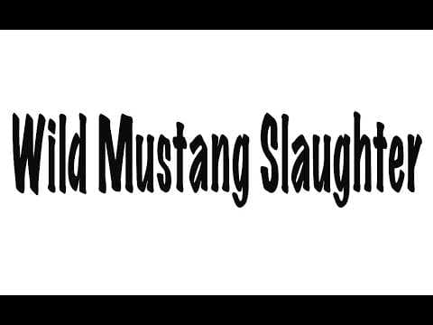 Wild Mustang Slaughter