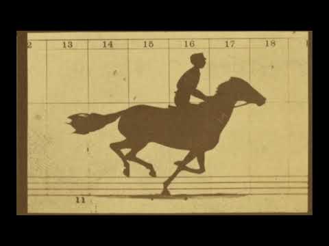1878 - Sallie Gardner at a Gallop - Eadweard Muybridge