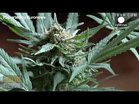 Uruguay Becomes the First Country to Fully Legalise Marijuana