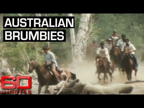 Legendary Australian man tames wild brumbies | 60 Minutes Australia