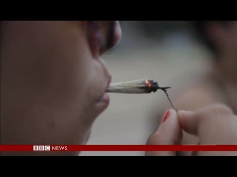 BBC: Uruguay, the First Country to Legalise Marijuana