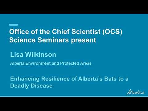Building Resilience in Alberta's Bats Against White-Nose Syndrome