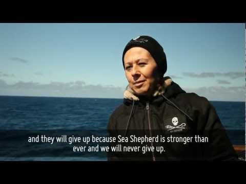 Meet The Crew - Veronika Kristoff, Budapest, Hungary, Steve Irwin, Operation Zero Tolerance